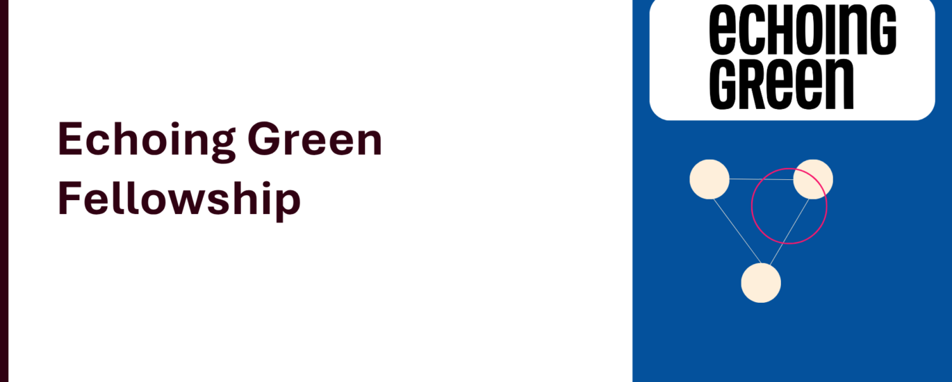 Echoing Green Fellowship program cover