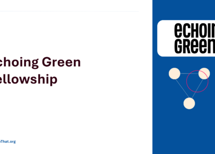 Echoing Green Fellowship program cover